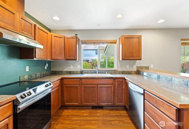 167 Wind River Rd, Chehalis, WA 98532 - kitchen with appliances with stainless steel finishes, a sink, under cabinet range hood, a peninsula, and dark wood-style flooring