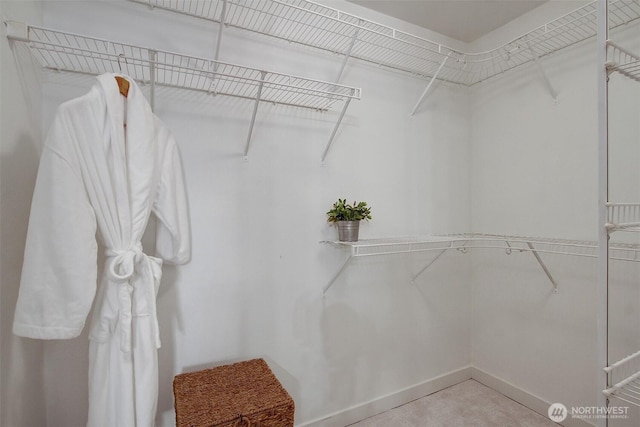 20802 72nd Ave W Unit 304, Edmonds, WA 98026 - view of spacious closet