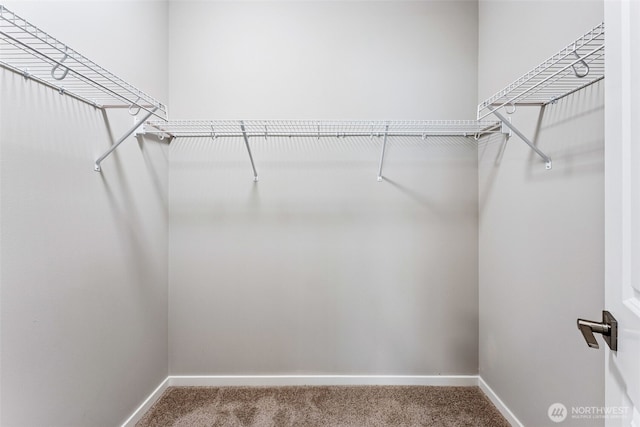 41 E Compass Ln, Allyn, WA 98524 - spacious closet with carpet
