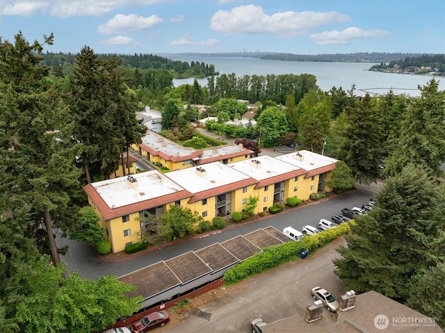 drone / aerial view of a large body of water and a forest