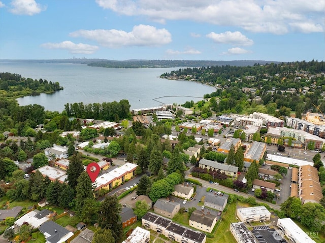 aerial overview of property's location with a large body of water