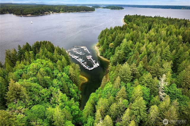 735 E Promontory Rd, Shelton, WA 98584 - bird's eye view of a nearby body of water and a forest