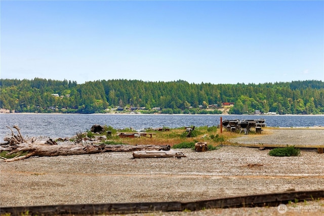 735 E Promontory Rd, Shelton, WA 98584 - water view featuring a forest