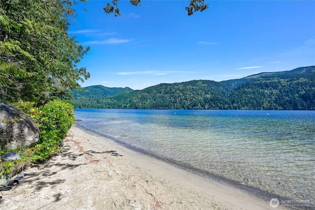 7 Orchid Ct, Bellingham, WA 98229