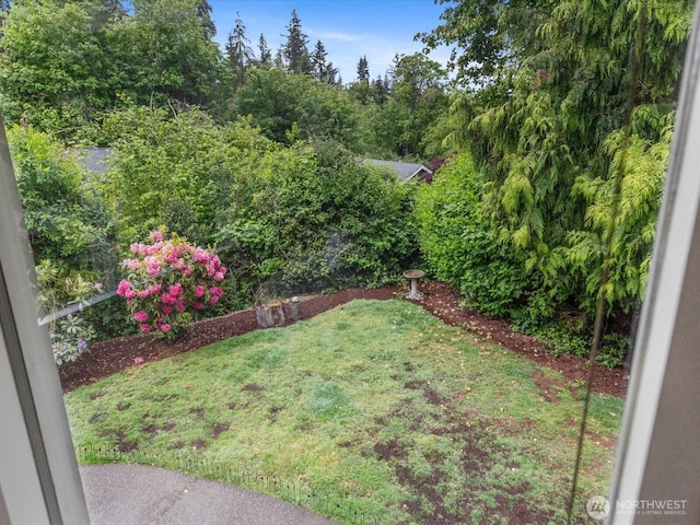 8711 Bowdoin Way, Edmonds, WA 98026 - view of green lawn