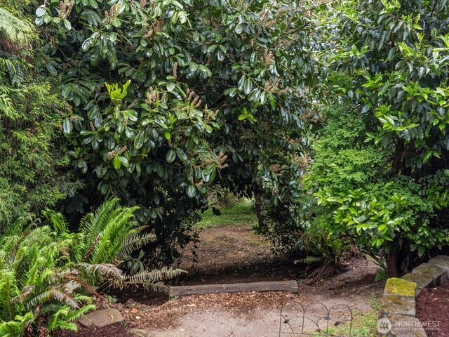 8711 Bowdoin Way, Edmonds, WA 98026 - view of nature