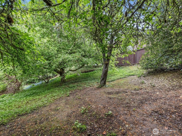8711 Bowdoin Way, Edmonds, WA 98026 - view of yard