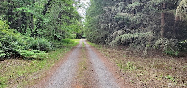 22930 115th Ave SW, Vashon, WA 98070 - view of street featuring a wooded view