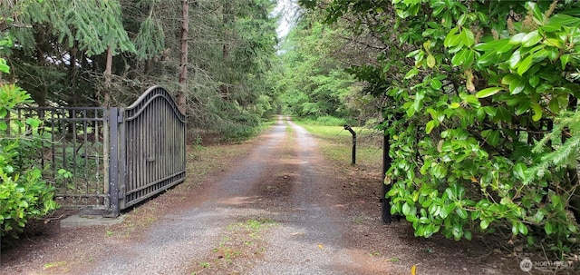 22930 115th Ave SW, Vashon, WA 98070 - view of street featuring a gate and a gated entry