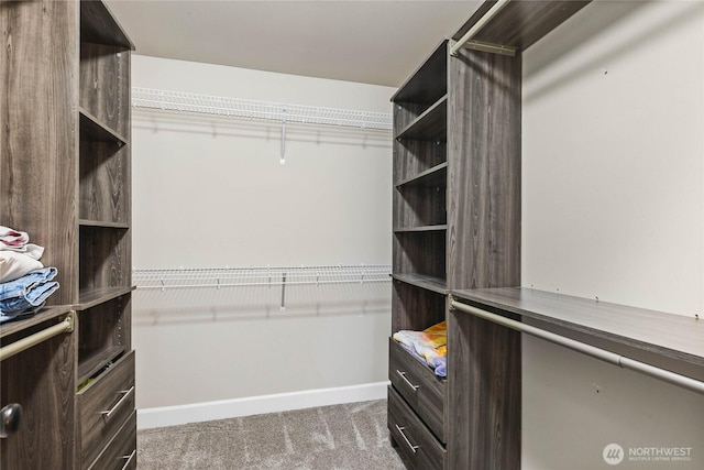6410 83rd Avenue Ct W, University Place, WA 98467 - spacious closet featuring carpet floors