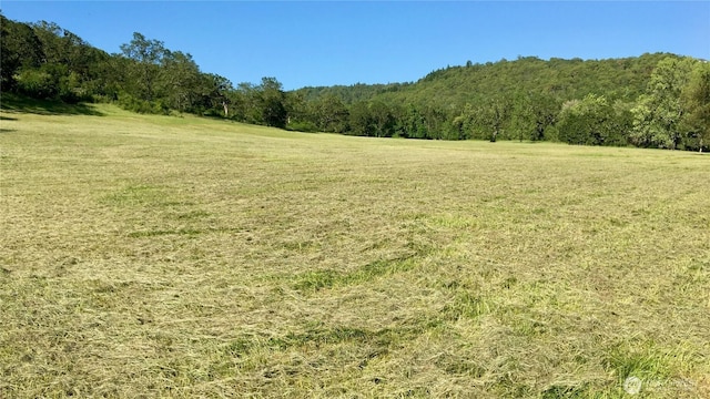 0 NE Edenbower Blvd Lot 1, Roseburg, OR 97470