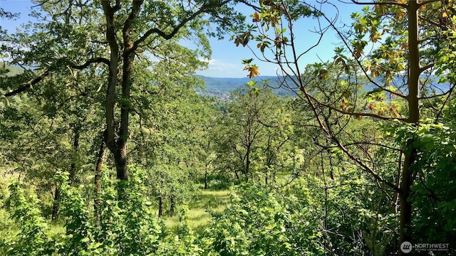 0 NE Edenbower Blvd Lot 1, Roseburg, OR 97470 - photo 10