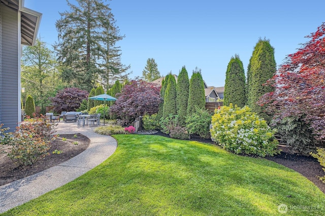 922 Chelan Ave NE, Renton, WA 98059 - view of grassy yard featuring a patio