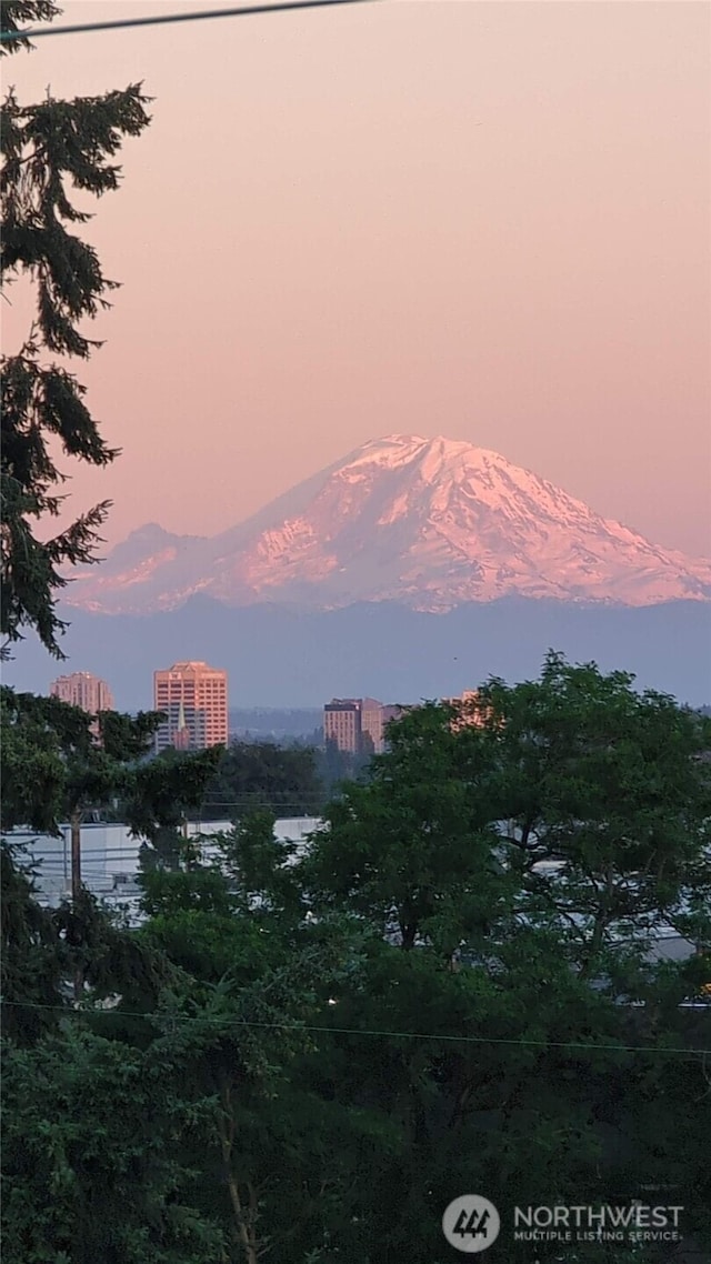 919 N 103rd St Unit A, Seattle, WA 98133 - water view with a mountain backdrop