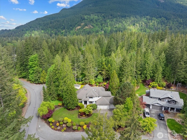 drone / aerial view of a forest and a mountain backdrop
