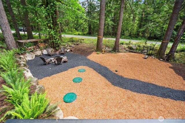 7467 Canyon View Dr, Deming, WA 98244 - view of yard