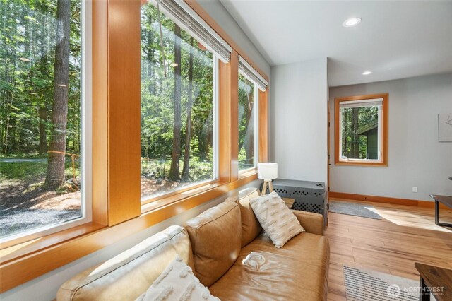 7467 Canyon View Dr, Deming, WA 98244 - living area featuring plenty of natural light, hardwood / wood-style flooring, recessed lighting, and baseboards
