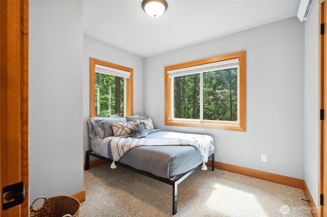 7467 Canyon View Dr, Deming, WA 98244 - carpeted bedroom with baseboards