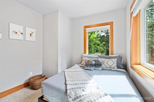 7467 Canyon View Dr, Deming, WA 98244 - bedroom featuring carpet flooring and baseboards