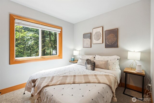 7467 Canyon View Dr, Deming, WA 98244 - bedroom featuring carpet floors and baseboards