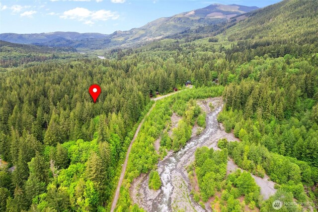 7467 Canyon View Dr, Deming, WA 98244 - bird's eye view of a forest and a mountainous background
