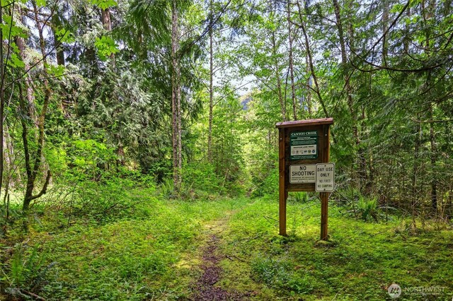 7467 Canyon View Dr, Deming, WA 98244 - exterior view of a forest