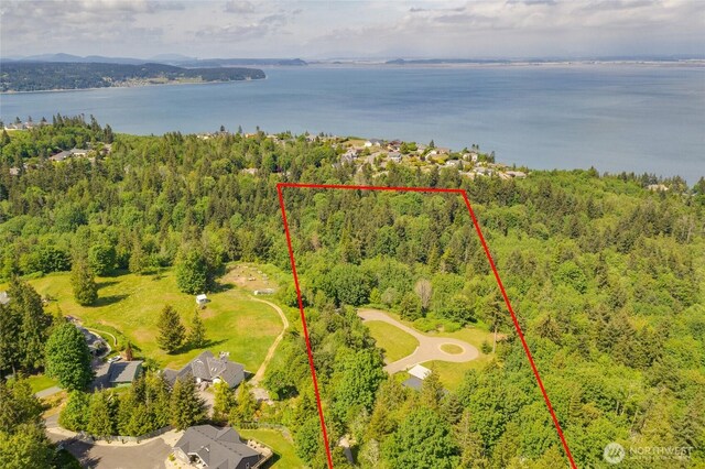 298 Echo Ridge Way, Camano Island, WA 98282 - photo 36