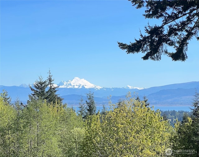 298 Echo Ridge Way, Camano Island, WA 98282 - photo 2
