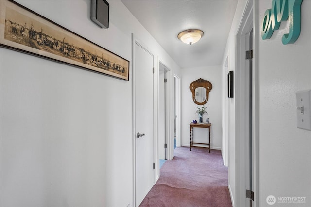 5502 N 21st St, Tacoma, WA 98406 - corridor with carpet floors and baseboards