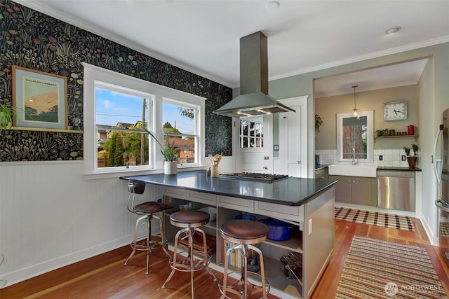 kitchen with island exhaust hood, stainless steel appliances, wood finished floors, a sink, and wainscoting