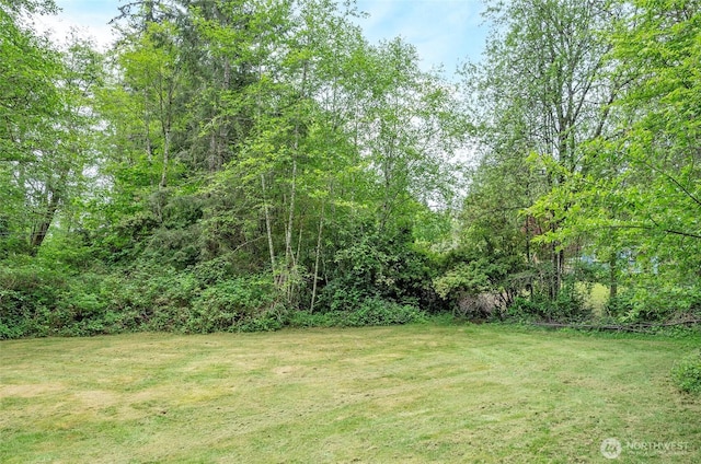 2422 157th Street Ct NW, Gig Harbor, WA 98332 - view of green lawn featuring a wooded view