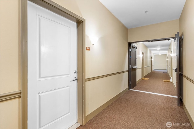 1015 Railroad Ave Unit 415, Bellingham, WA 98225 - corridor with carpet floors