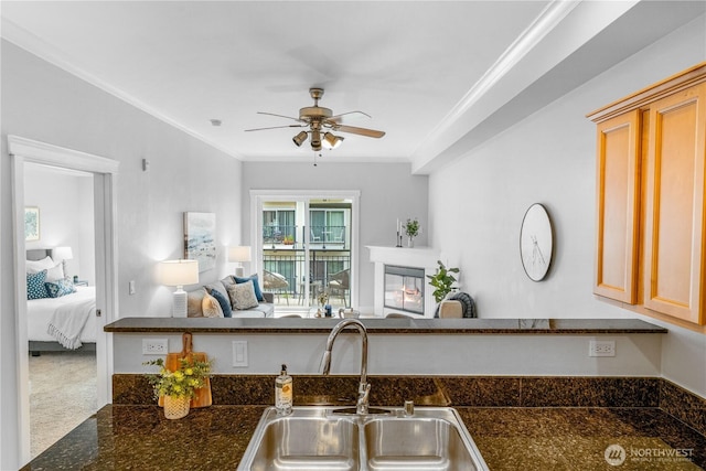 1015 Railroad Ave Unit 415, Bellingham, WA 98225 - kitchen featuring a sink, ceiling fan, open floor plan, and ornamental molding
