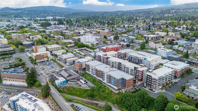 1015 Railroad Ave Unit 415, Bellingham, WA 98225 - view of urban area with mountains