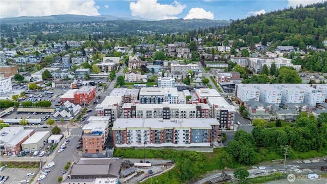 1015 Railroad Ave Unit 415, Bellingham, WA 98225 - drone / aerial view