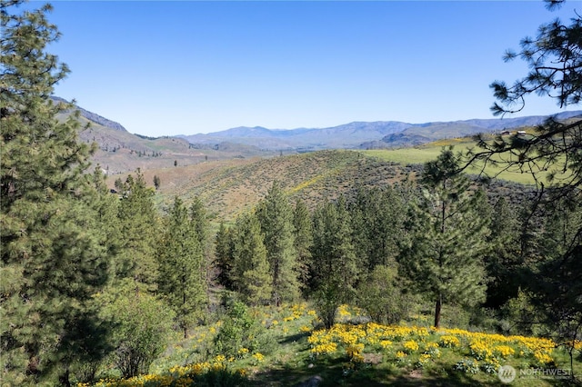 117 Vintin Rd, Carlton, WA 98814 - mountain view with a heavily wooded area