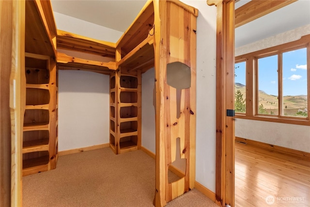 117 Vintin Rd, Carlton, WA 98814 - view of spacious closet