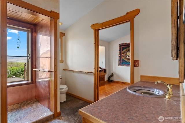 117 Vintin Rd, Carlton, WA 98814 - bathroom with a sink, healthy amount of natural light, toilet, and vaulted ceiling