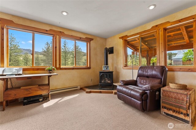 117 Vintin Rd, Carlton, WA 98814 - sitting room with plenty of natural light, a baseboard heating unit, a wood stove, carpet floors, and recessed lighting