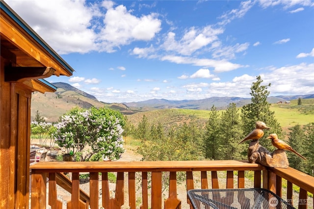 117 Vintin Rd, Carlton, WA 98814 - view of mountain backdrop