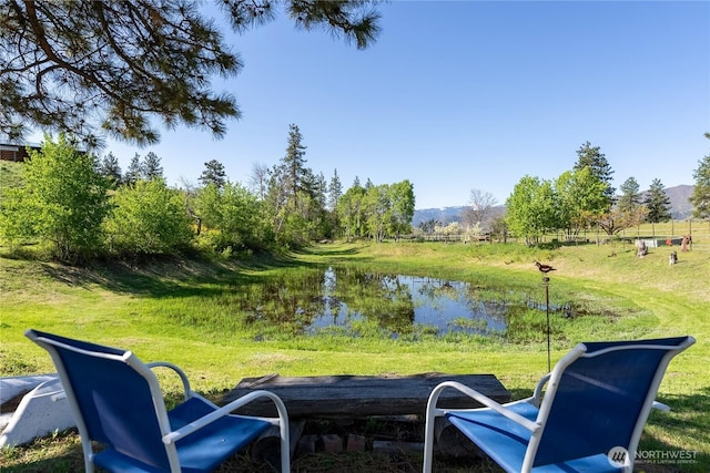 117 Vintin Rd, Carlton, WA 98814 - view of yard with a water and mountain view
