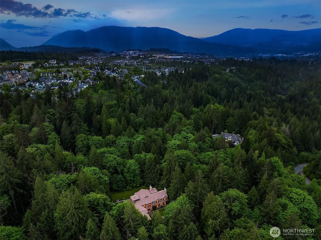 5565 248th Pl SE, Issaquah, WA 98029 - photo 34