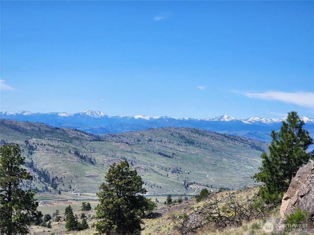 0 Morning Sun Rd, Tonasket, WA 98855 - photo 28