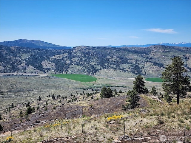 0 Morning Sun Rd, Tonasket, WA 98855 - photo 29