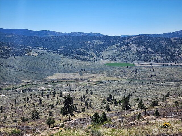 0 Morning Sun Rd, Tonasket, WA 98855 - photo 30