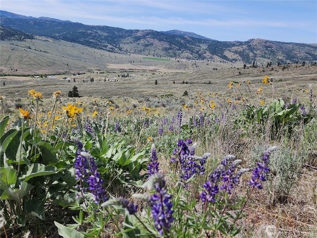 0 Morning Sun Rd, Tonasket, WA 98855 - photo 34