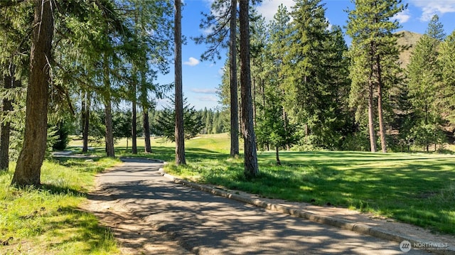 1591 Coal Mine Way, Cle Elum, WA 98922 - surrounding community featuring a lawn