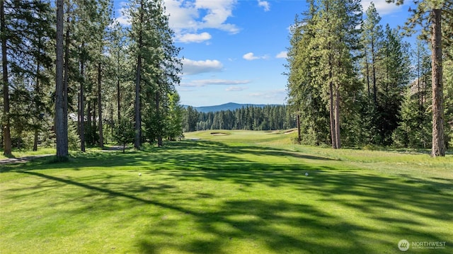 1591 Coal Mine Way, Cle Elum, WA 98922 - view of home's community with a yard, a mountain view, and a forest view