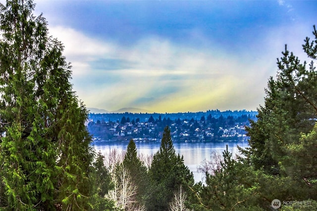 water view