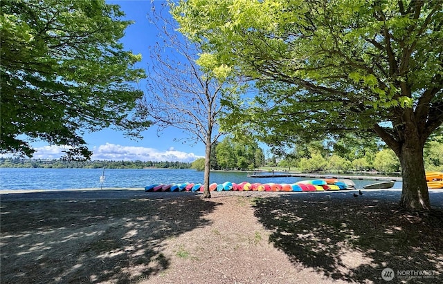 911 N 72nd St, Seattle, WA 98103 - view of yard featuring a water view